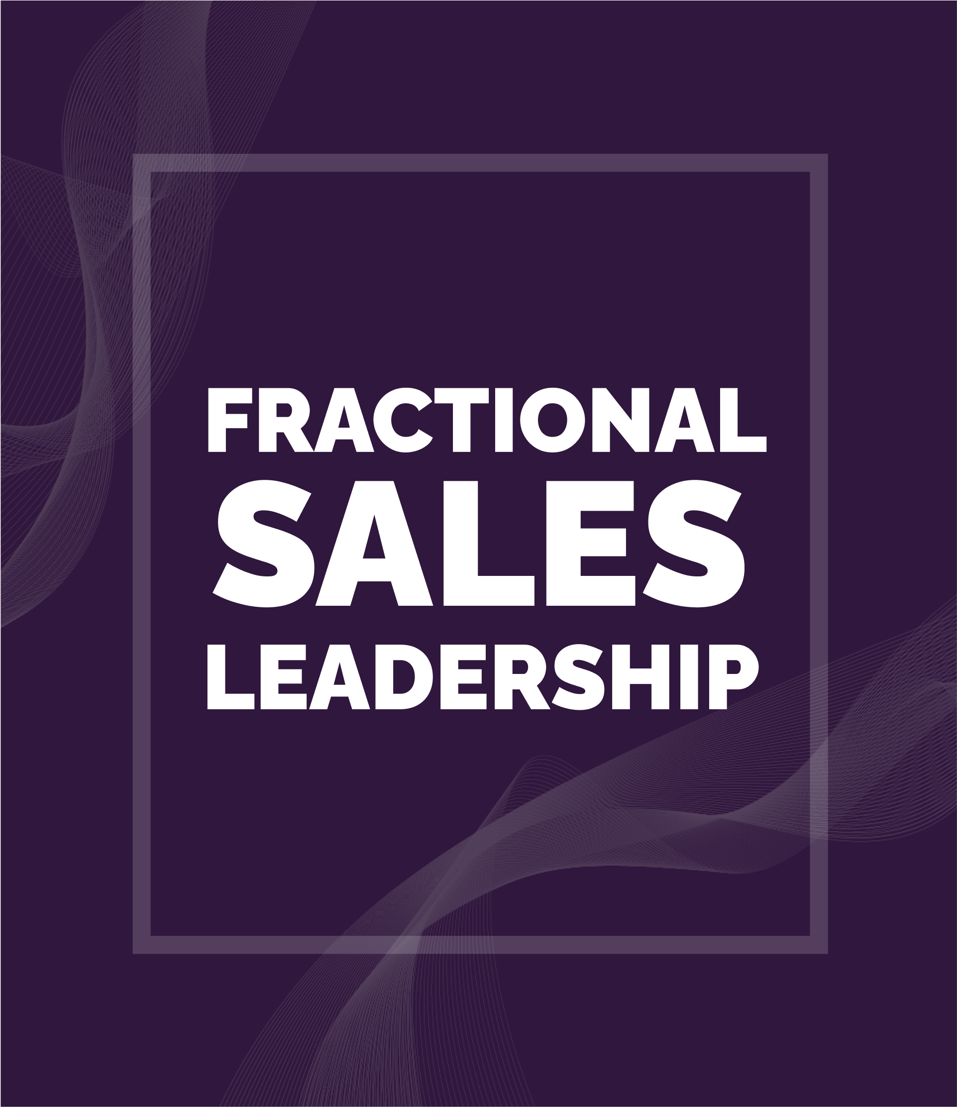 Fractional sales leadership