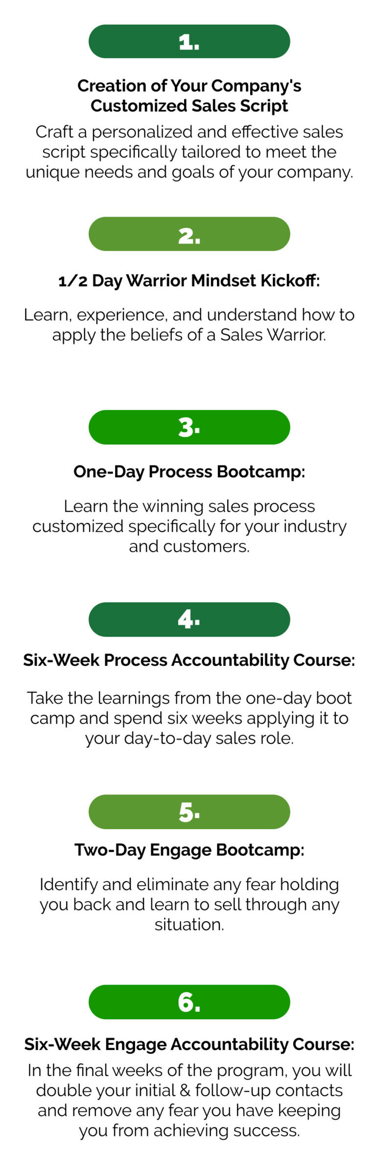 Warrior Selling Sales Training phases