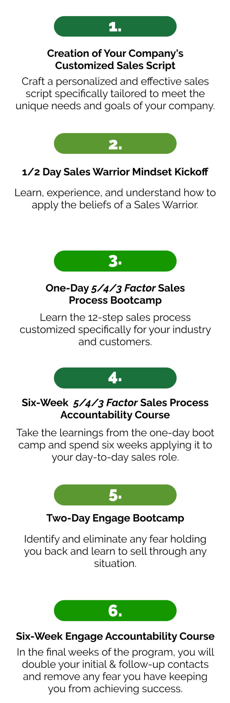 Warrior Selling Sales Training phases