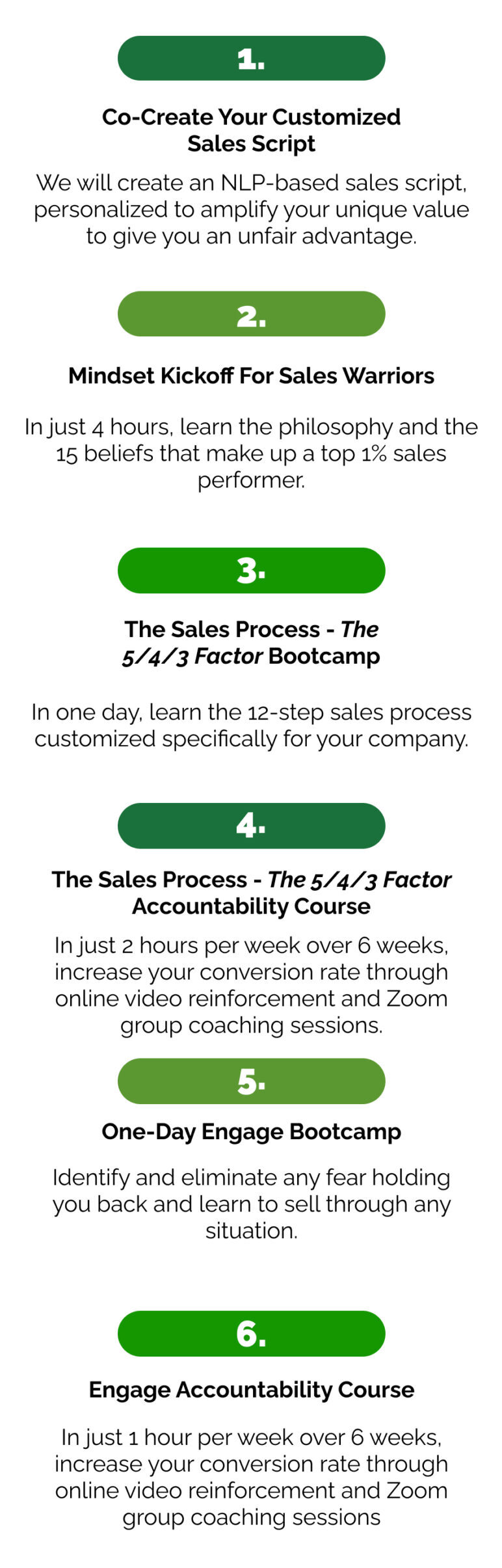 Warrior Selling Sales Training phases