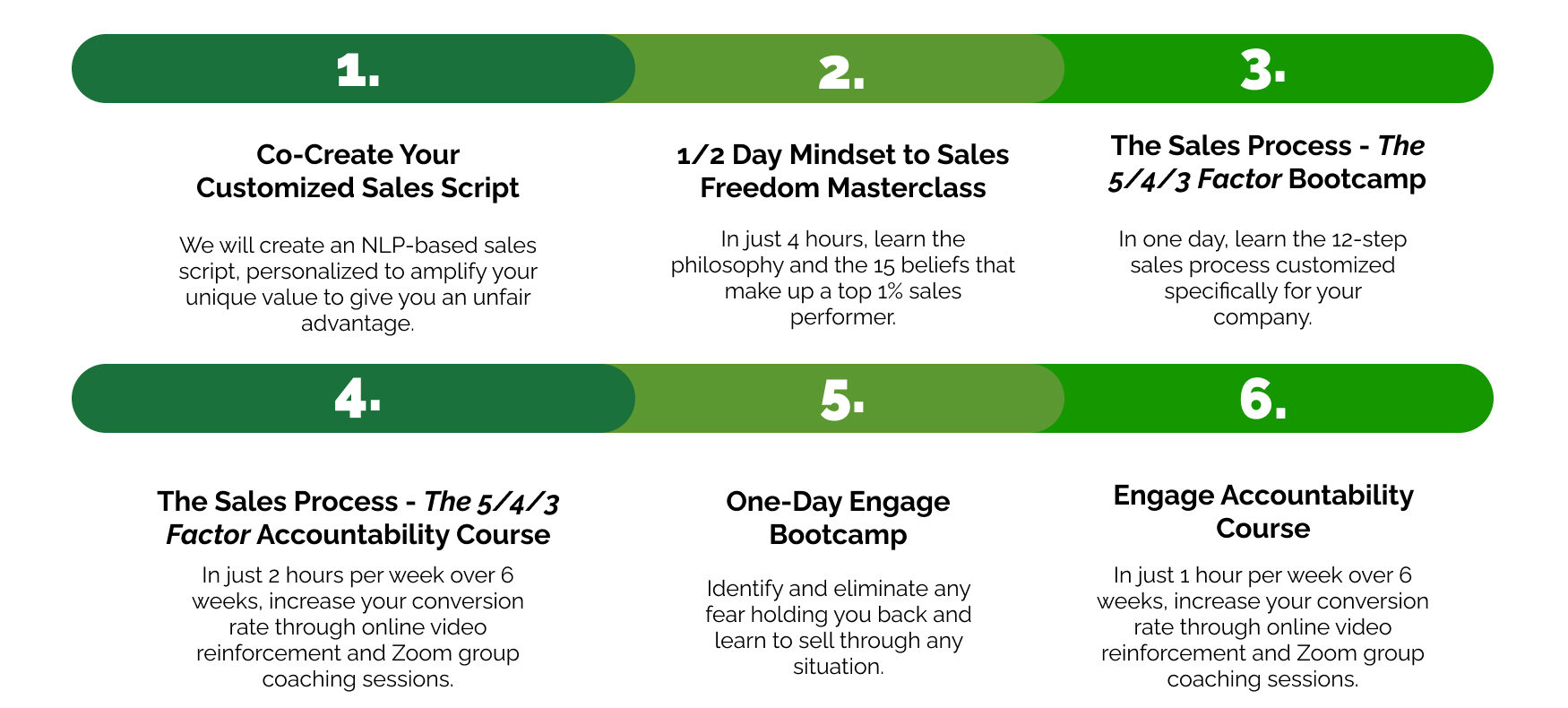 Warrior Selling Sales Training phases