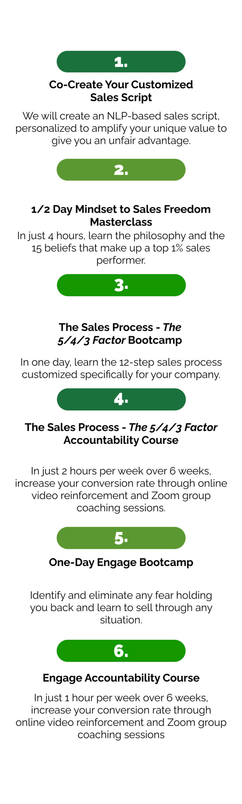 Warrior Selling Sales Training phases